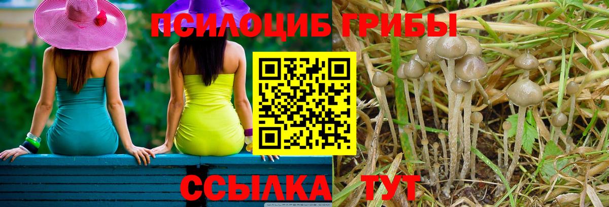 Псилоцибиновые грибы мухоморы Орск